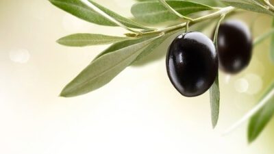Communie buffet "Italiaans"